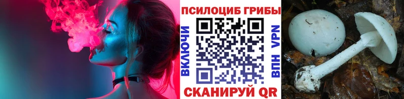 Псилоцибиновые грибы GOLDEN TEACHER  Солнечногорск 